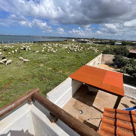 Casa Al Mare Con Splendida Vista Sul Mare Villa Петрозино Екстериор снимка