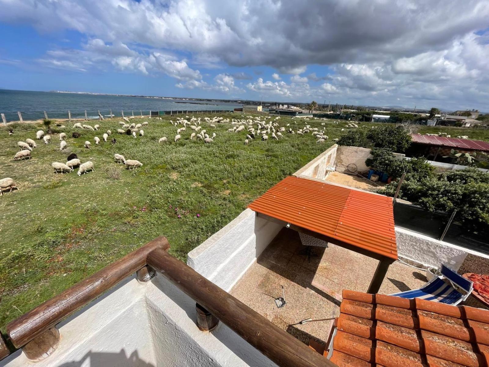 Casa Al Mare Con Splendida Vista Sul Mare Villa Петрозино Екстериор снимка