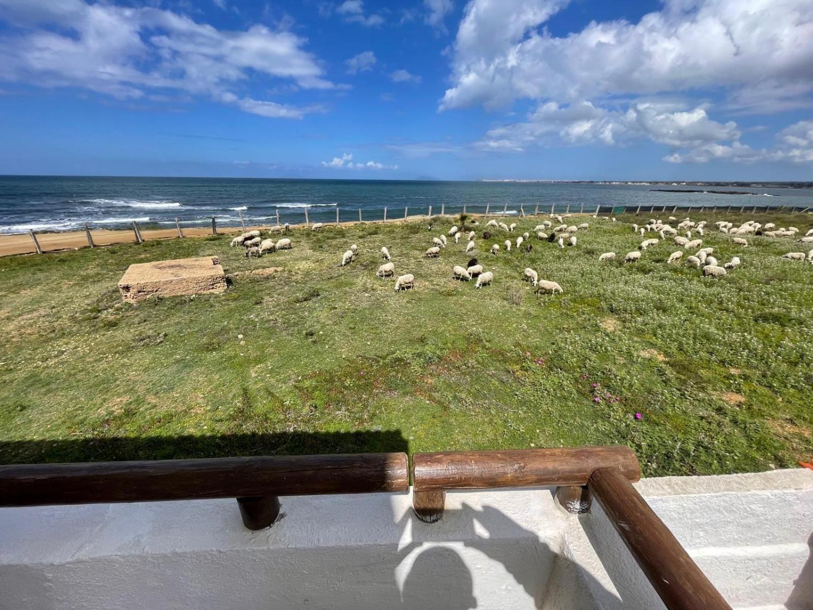 Casa Al Mare Con Splendida Vista Sul Mare Villa Петрозино Екстериор снимка